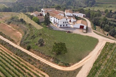 1. Curso de Viticultura, Enologa y Cata