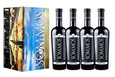 10. Visita Enolgica + Estuche Premium