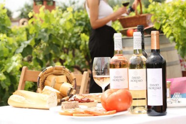 13. Picnic en ''David Moreno''