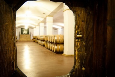 2. Visita + Almuerzo