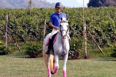 4. Visita enolgica a caballo