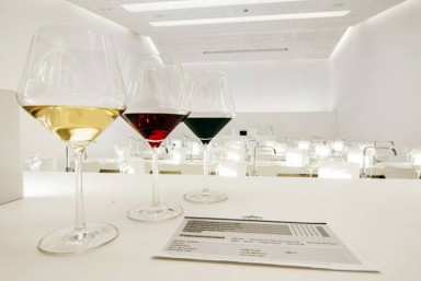 6. Visita enolgica gourmet a caballo