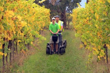 7. Visita enolgica gourmet en segway