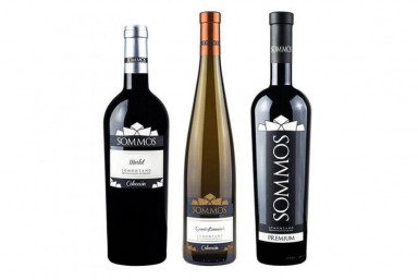 9. Visita Enolgica + Estuche Coleccin