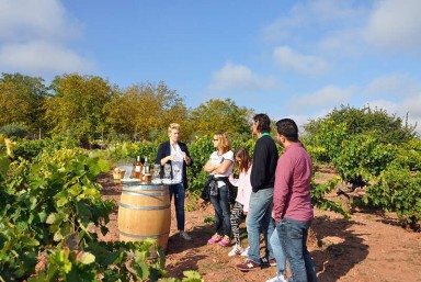 2. Visita al Terruo