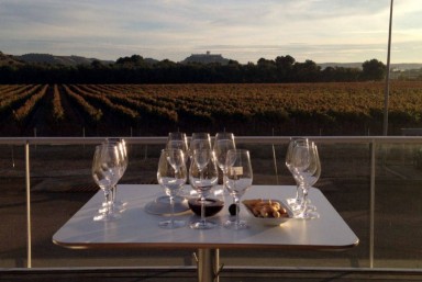 9. Cata ''Las Edades del Vino''