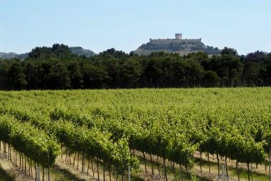 5. Visita Calmo
