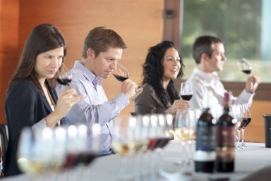 2. Cata de vinos + Comida