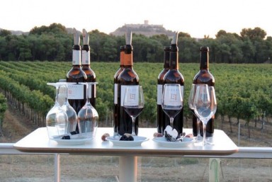 8. Cata ''Estilos del Duero''