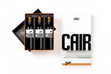 2. Visita Cair