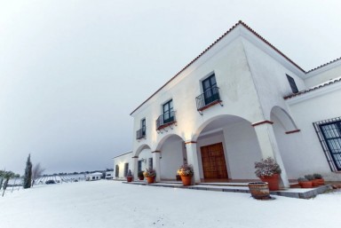 Viña Santa Marina