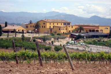 3. Visita + Ruta por Viedo + Cata