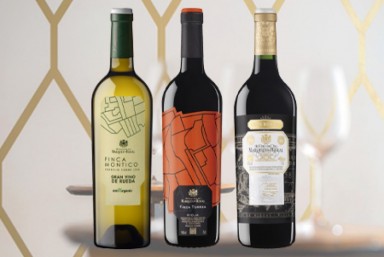 2. Visita Marqus de Riscal 2