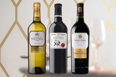 3. Visita Marqus de Riscal 3