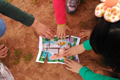11. Vincana