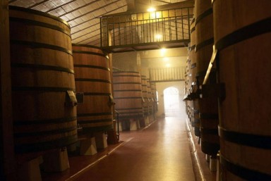 1. Visita a la bodega